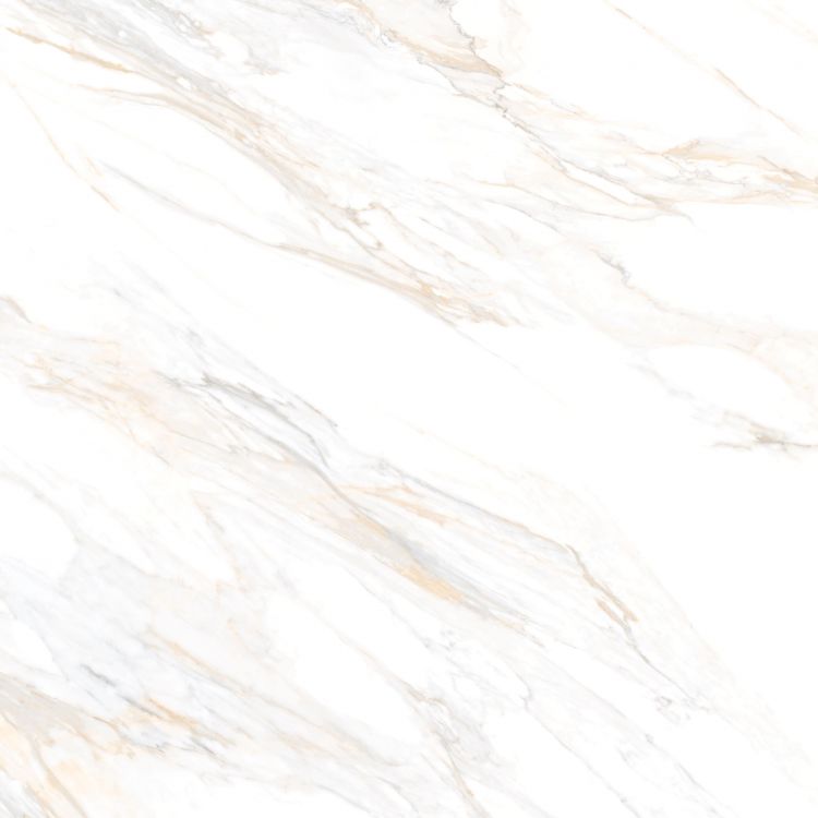 Aurum Calacatta Polished 48 x 48
